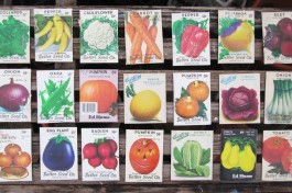 Vintage Seed Packets